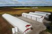 small_233_DJI_0771.jpg